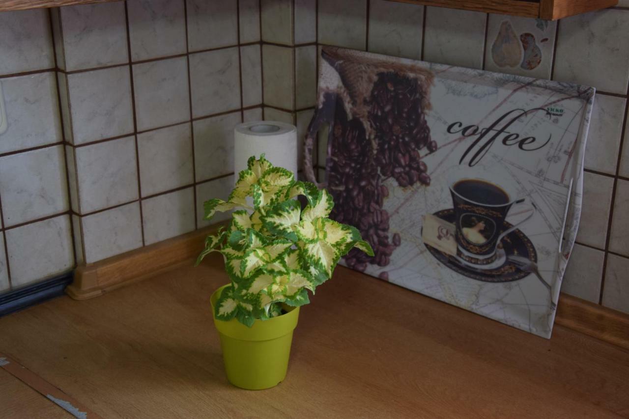 Apartament Lena'S & Zoe'S Néa Péramos Zewnętrze zdjęcie