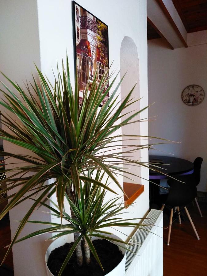 Apartament Lena'S & Zoe'S Néa Péramos Zewnętrze zdjęcie